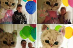 29